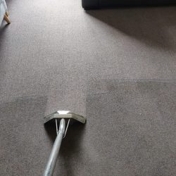 Carpet cleaning