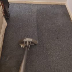 Carpet Cleaning