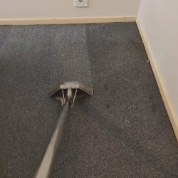 Carpet Cleaning