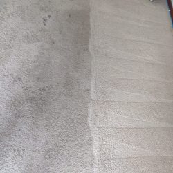 Carpet Cleaning