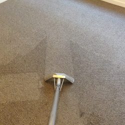 Carpet Cleaning