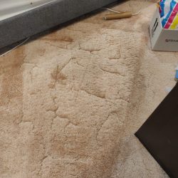 Carpet Cleaning