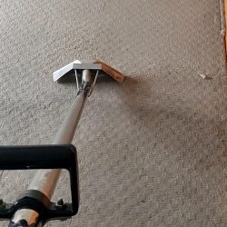 Carpet Cleaning